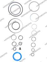 Ремкомплект для домкрата N32031 NORDBERG N32031#RK Ремкомплект для домкрата N32031 NORDBERG N32031#RK