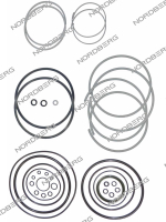 Ремкомплект для пресса N36100A NORDBERG 000000481 Ремкомплект для пресса N36100A NORDBERG 000000481
