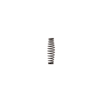 Пружина RT-5567(Inlet Spring) поз.30