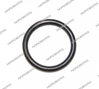 Кольцо 5006447 20х2,65 для 46TRK NORDBERG 5006447 (GB3452·1-20?2·65-G) Кольцо 5006447 20х2,65 для 46TRK NORDBERG 5006447 (GB3452·1-20?2·65-G)