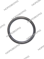 NORDBERG ЗАПЧАСТЬ ПРОКЛАДКА 53 для стойки N3405 (2019)