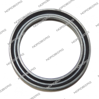 Прокладка клапана блокировки для 4640 NORDBERG C-71-1320003 (C-70-1223003) Прокладка клапана блокировки для 4640 NORDBERG C-71-1320003 (C-70-1223003)