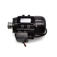 4041100203 Электродвигатель YL-90L-2, 220V