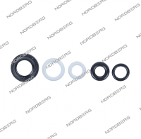 Ремкомплект насос для N3621FL