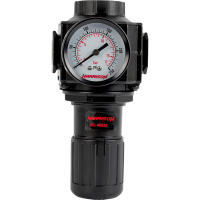 HRS-R6229 Регулятор, 6229 л/мин, 1/2"