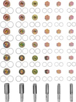 Thorvik ODPRK1322 Набор для восстановления резьбы маслосливных отверстий, М13-М22, 114 предметов